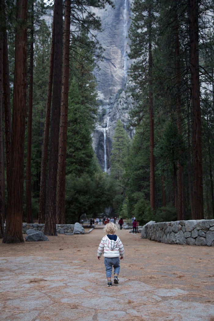 Yosemite-Hither-And-Thither-1