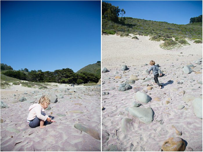 Big Sur Beach Purple Sand