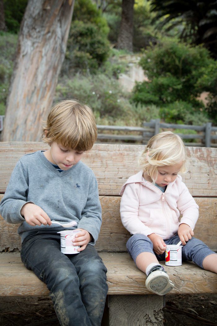 Big-Sur-Travelogue-with-kids_Hither-and-Thither-18