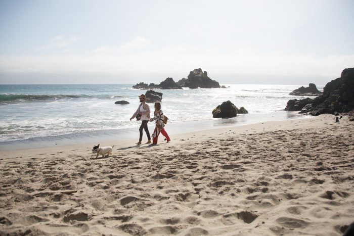 Big-Sur-Travelogue-with-kids_Hither-and-Thither-27