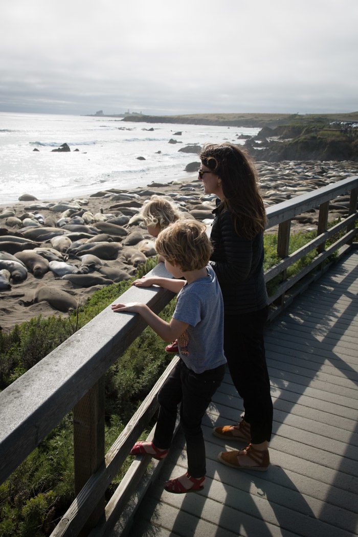 Big-Sur-Travelogue-with-kids_Hither-and-Thither-5
