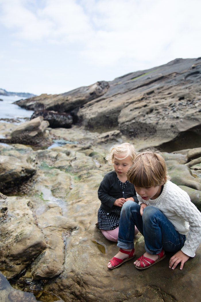 Monterey-Aquarium-Tidepools-with-kids_Hither-and-Thither-1
