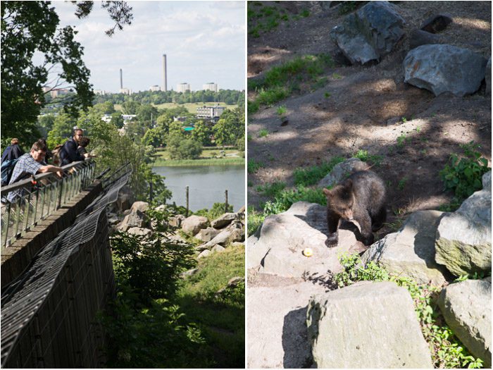Stockholm-Skansen-Zoo