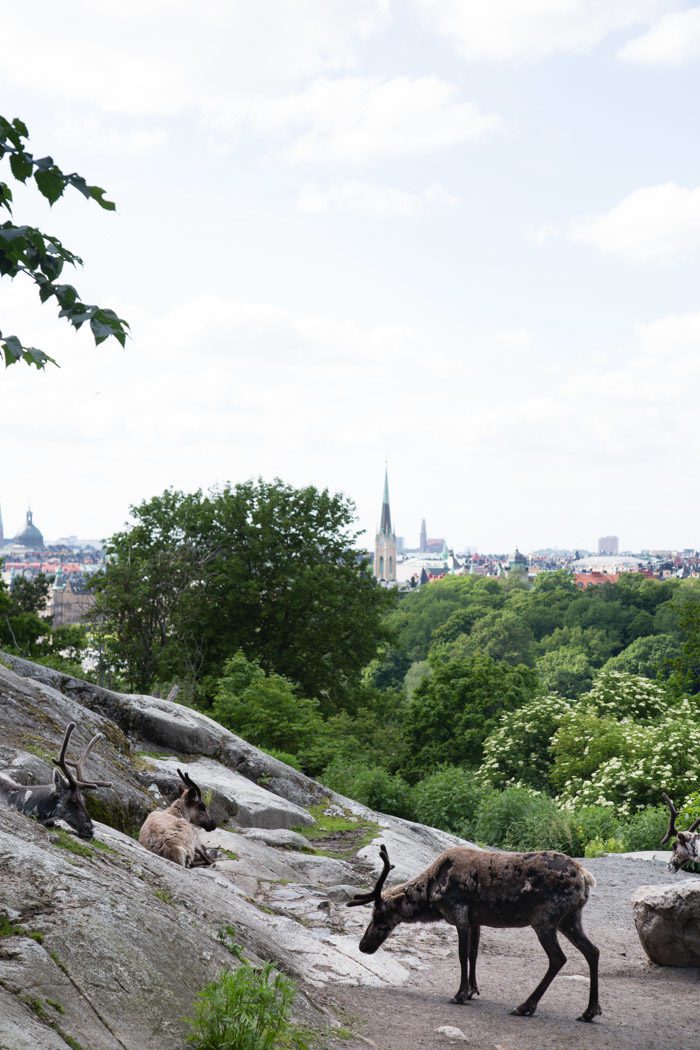 Stockholm-travel-guide-Hither-and-Thither-50