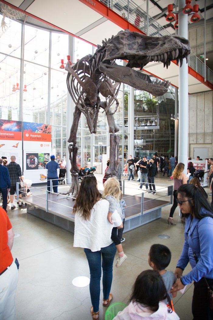 San Francisco: California Academy of Sciences - Hither & Thither
