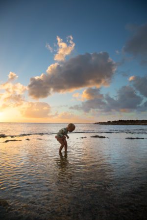 Travelogue North Shore, Oahu Hither & Thither