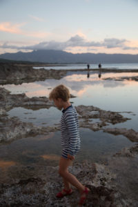 Travelogue North Shore, Oahu Hither & Thither