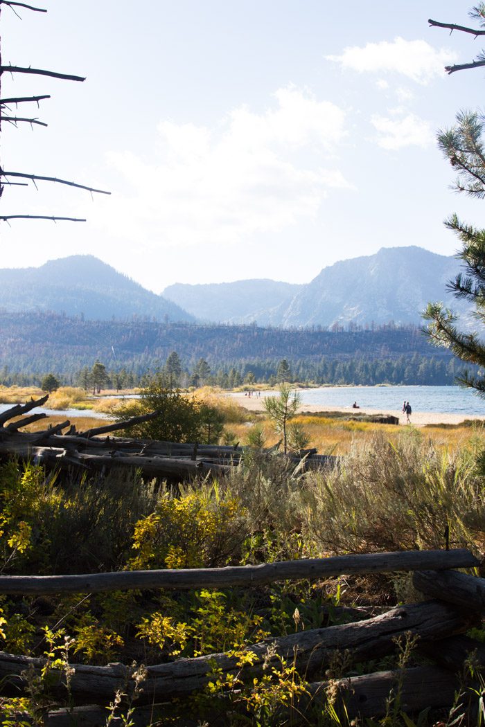 Lake Tahoe Taylor Creek in the Fall Hither & Thither